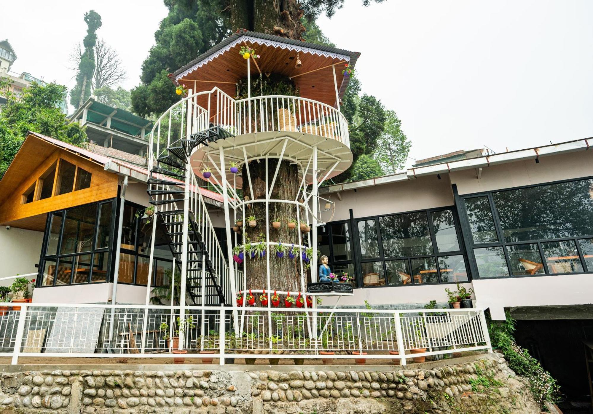 Arcadia Heritage Resort دارجيلنغ المظهر الخارجي الصورة